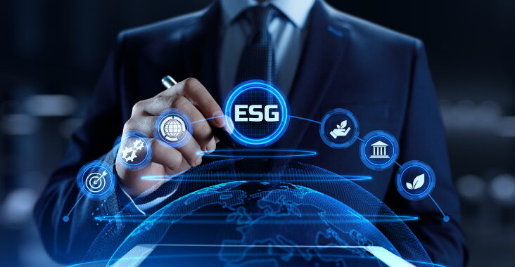 edit ESG 3 732x380 1