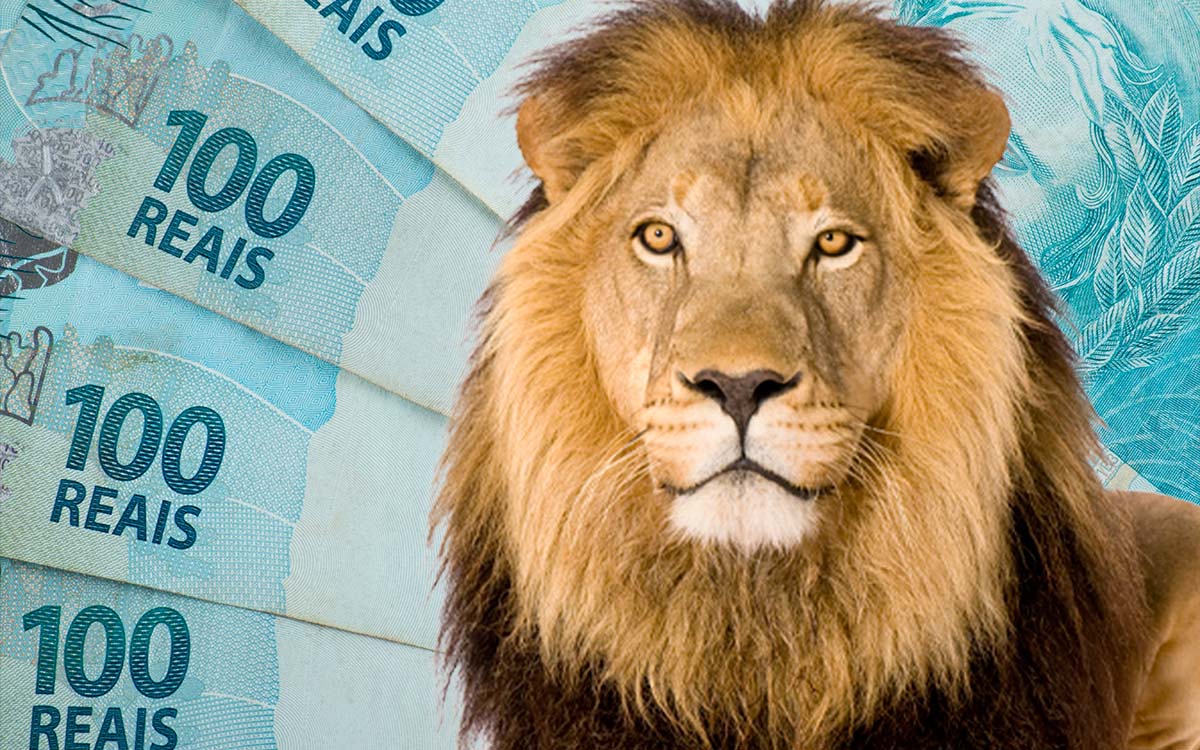 Vai distribuir dividendos no fim do ano? Você pode ter de pagar mais Imposto de Renda