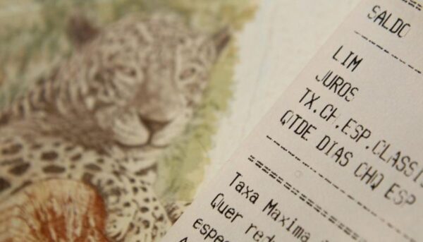 CAPA IDEAL BANNER SITE 28