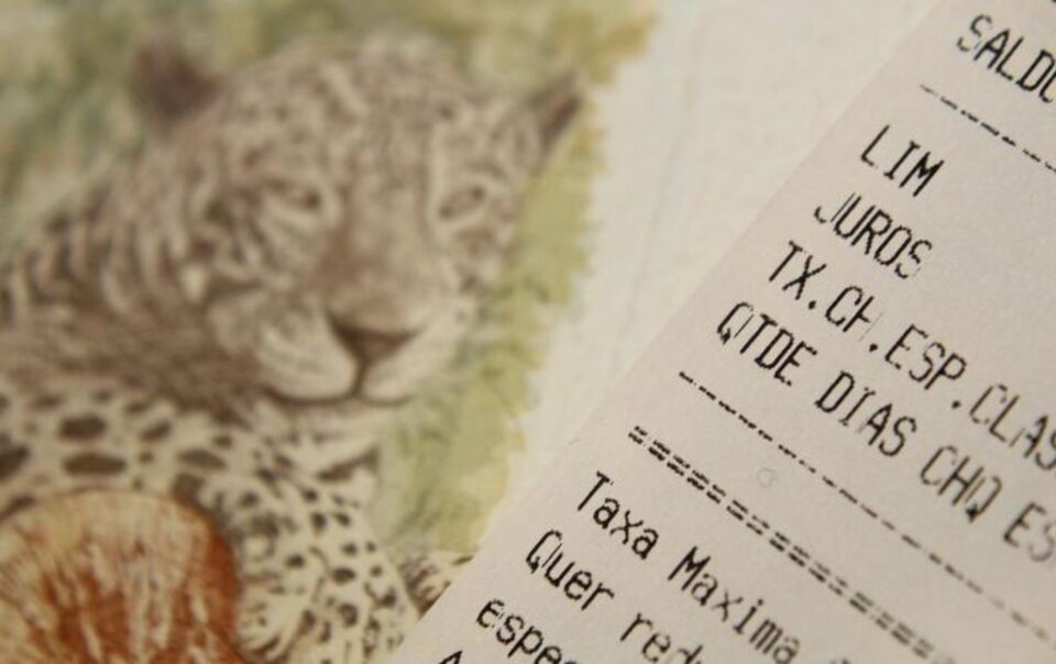 CAPA IDEAL BANNER SITE 28